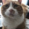 Ed