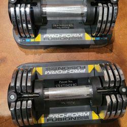 Two Adjustable Dumbbells