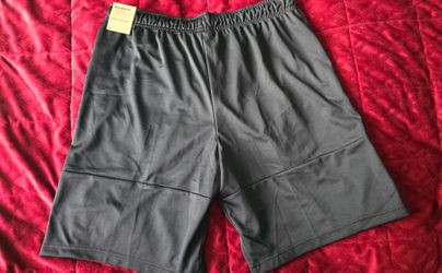 Mens Nike Shorts Size L Standard Fit New