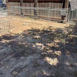 Chicken Cages 