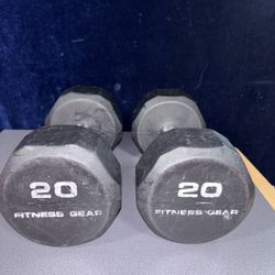 20 Lb Dumbbells 