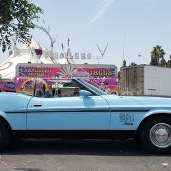 1973 Mustang Convertible