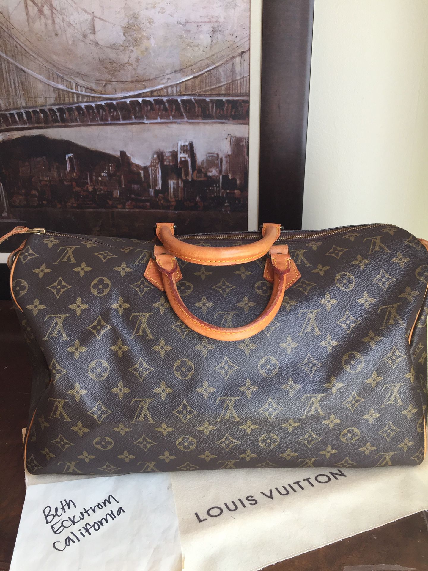 Louis Vuitton Speedy 40 bag