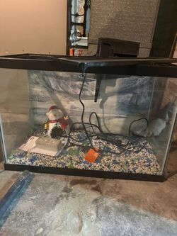 Fish tank with accessories