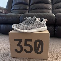 Yeezy 350 Turtle Doves Size 10.5 (2022)