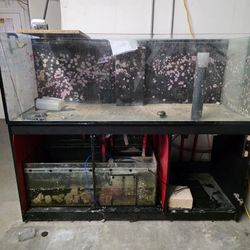 200 Gallon Aquarium 