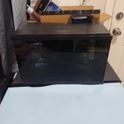 Fish Aquarium With Everything U Need 
