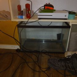 Perfect 10 Gallon Fish Tank 