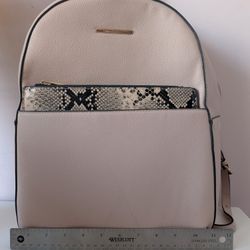 Aldo Bag