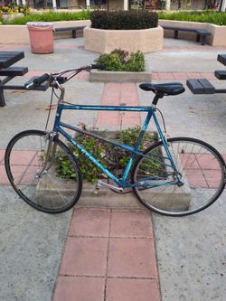 Peugeot racing bike