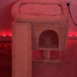 Cat Tree