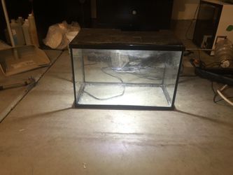 Fish Tank 