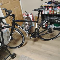 Specialized Diverge Bike Mens 52 Only Road Twice
