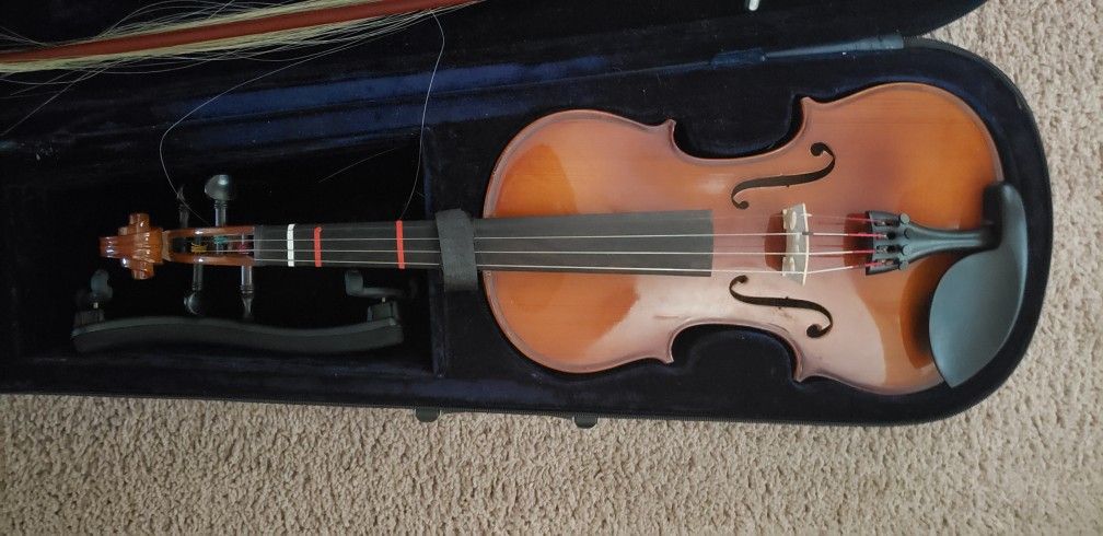 violin