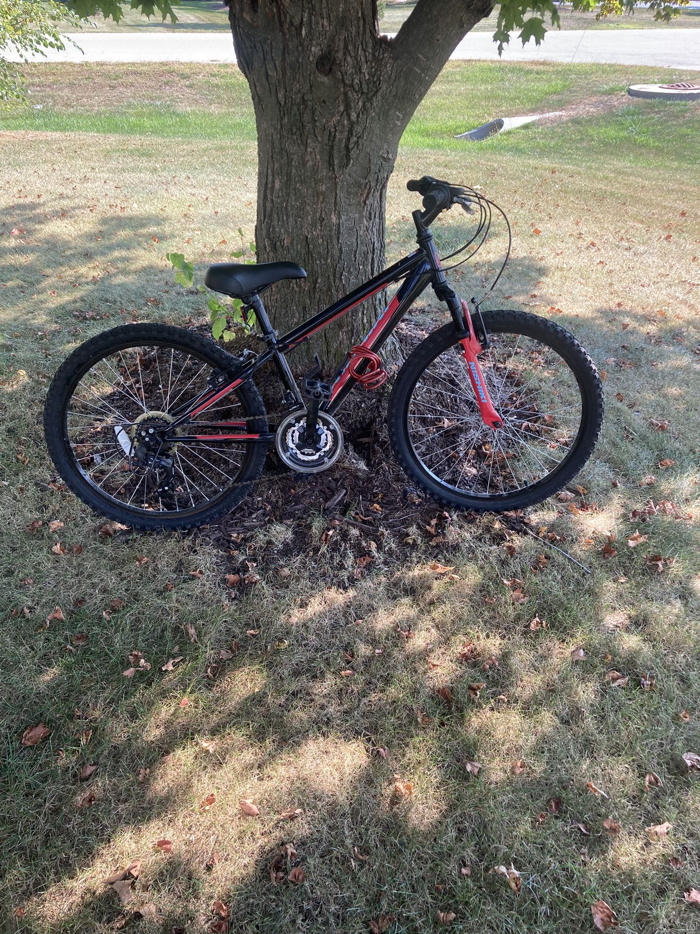 Selling A NISHIKI Pueblo Youth Bike 24-inch Red Black Blue