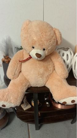 Teddy