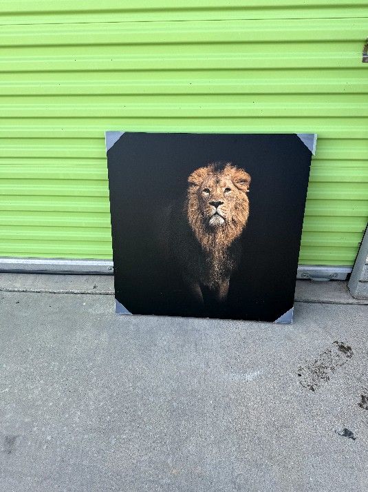Large Lion Canvas Picture Frame