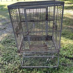 Bird Cage