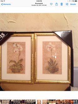 2 Beautiful pictures