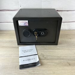 Small Biometric Sanctuary Security Vault Safe