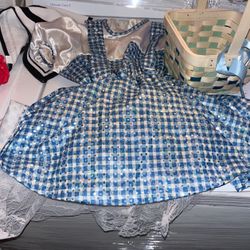 Dorothy from the Wizard of Oz