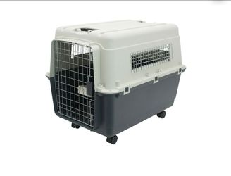 SportPet Designs Airline Approved Plastic Dog Kennel with Wheels, Large