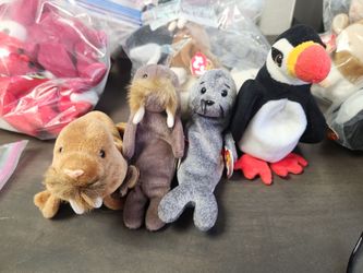 Ty beanie babies polar edition