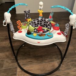 Fisher Price Baby Bouncer
