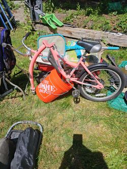 Tag Along Bike WEE RIDE COPILOT