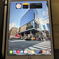 iPad Mini
