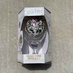 Harry Pottery glass