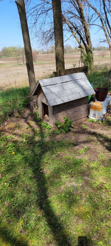 Dog House