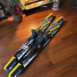 Water Skis 