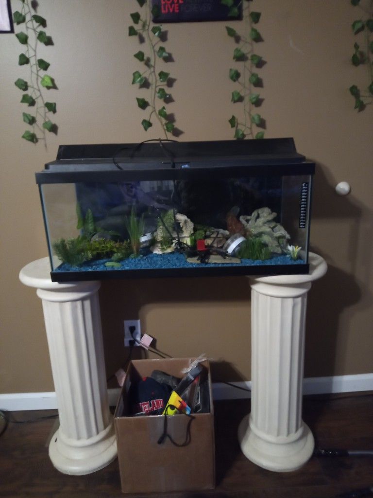 Fish Tank And Accessories