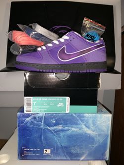 Concepts purple lobster shop special box