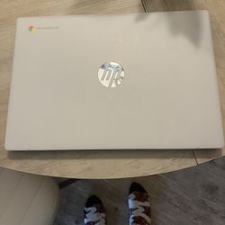 Hp Chromebook