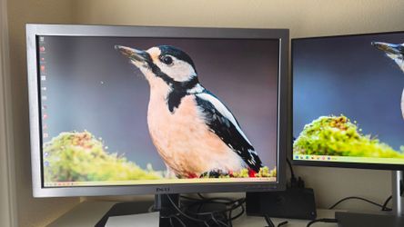 Dell 30" high resolution monitor