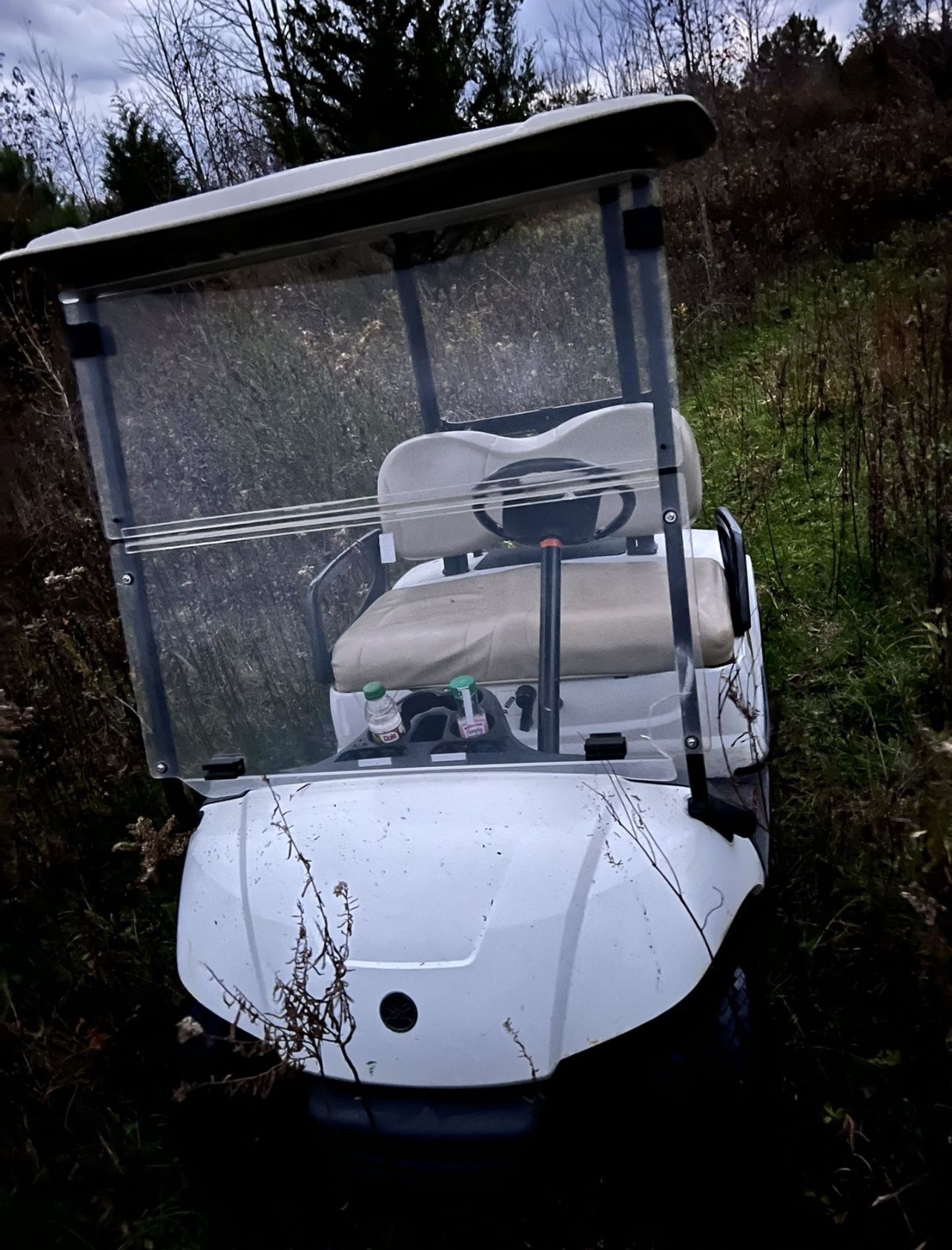 2016 Yamaha Golf cart
