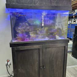 65 Gal Salt Water Fish Tank