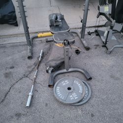 Free Weights!