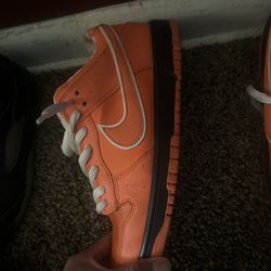 Nike Sb Orange Lobster 