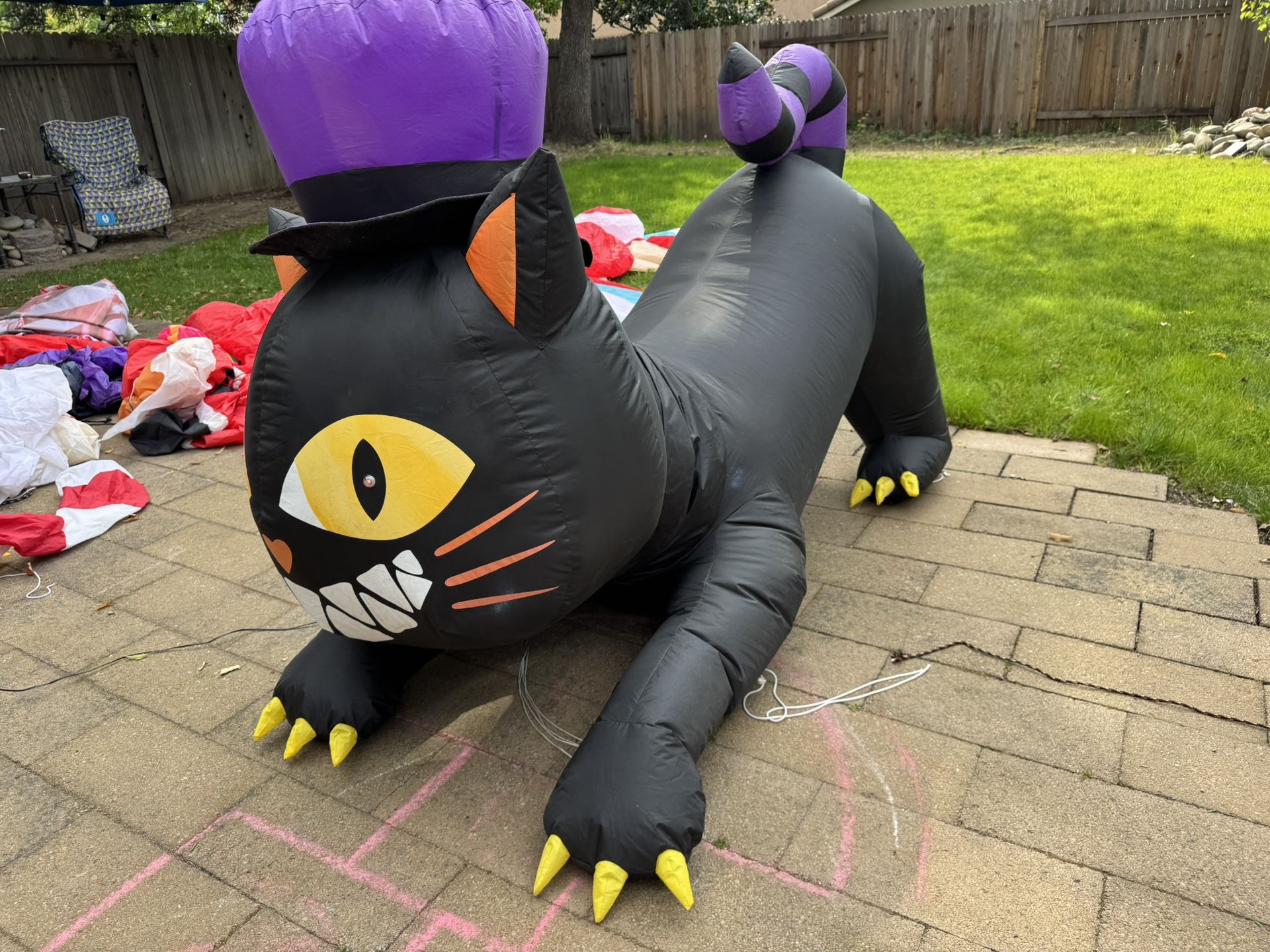 6ft large cat with moving head wearing hat and built in LED lights