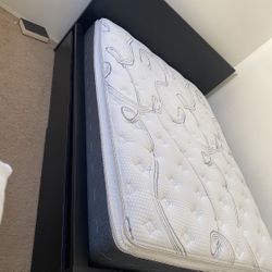 Brand New Queen Size Mattress For Sale