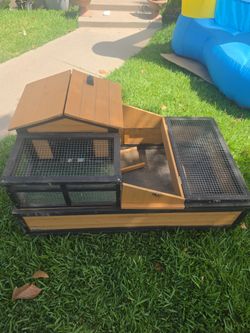 Tortoise house