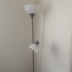 Modern Globe Floor Lamp