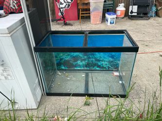 65g Fish Tank with the works