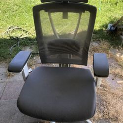 Office Chairs