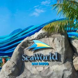 Seaworld San Diego