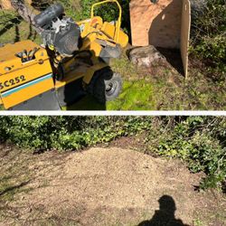 Stump Grinding 