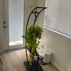 Plant Holder For Sale
